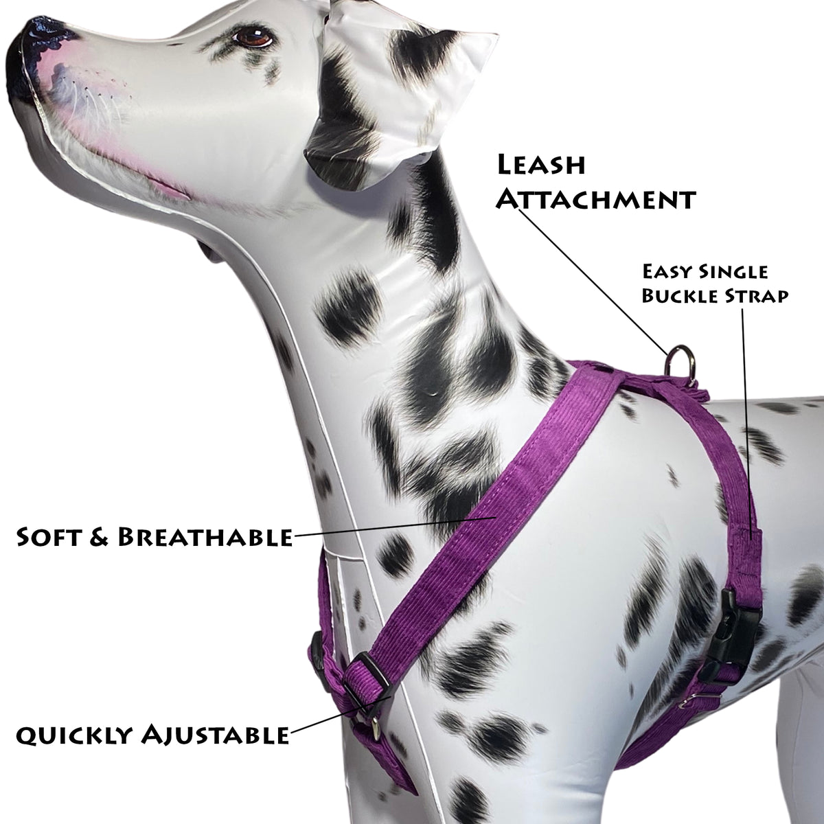 Dog discount harness set