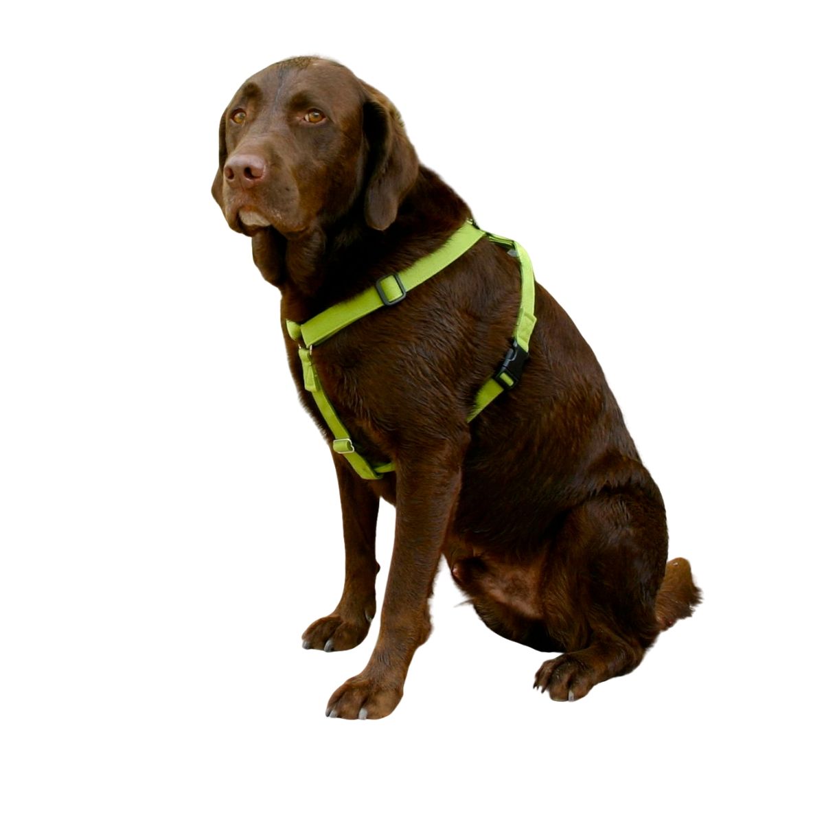 Hemp Dog Harness - (Red, Blue, Green, Black, Beige, or Pink) —